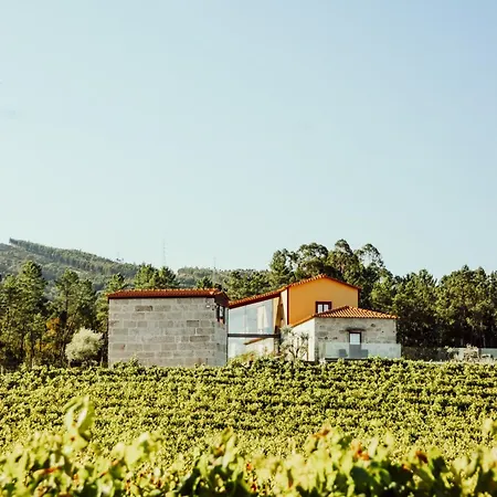 Quinta Areias - Solar Da Pena Farm stay *