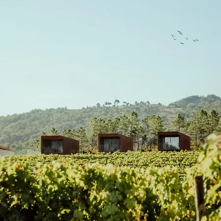 Quinta Areias - Solar Da Pena براغا