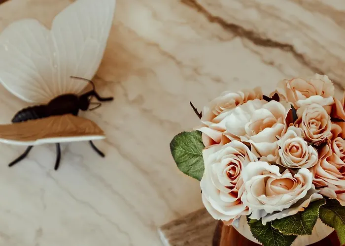 Quinta Areias - Solar Da Pena Farm stay *