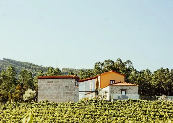 Quinta Areias - Solar Da Pena Farm stay *